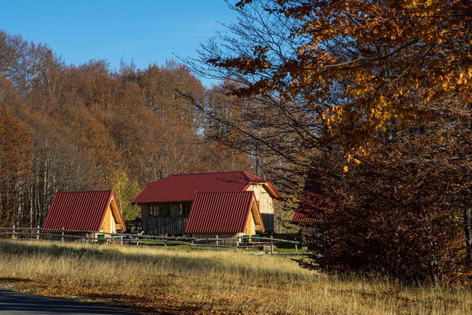 Maple Bungalows Zabljak  Exterior photo